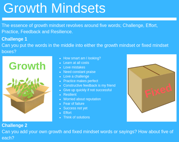 Growth Mindset 1-1